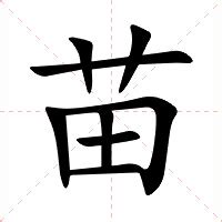 苗的意思|苗的意思，苗字的意思